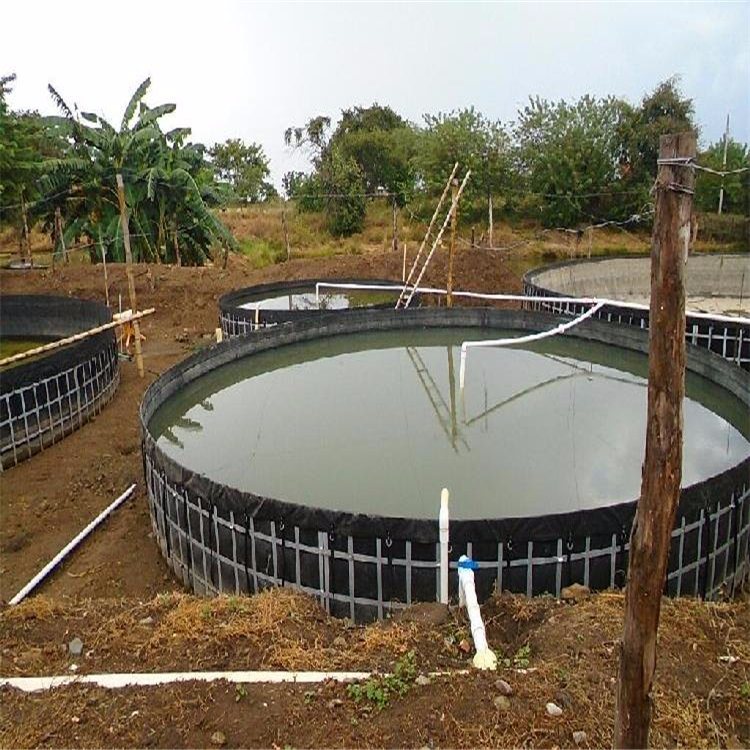 agricultural water storage pools